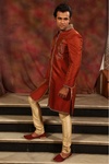 Highneck Rust Sherwani BL2006